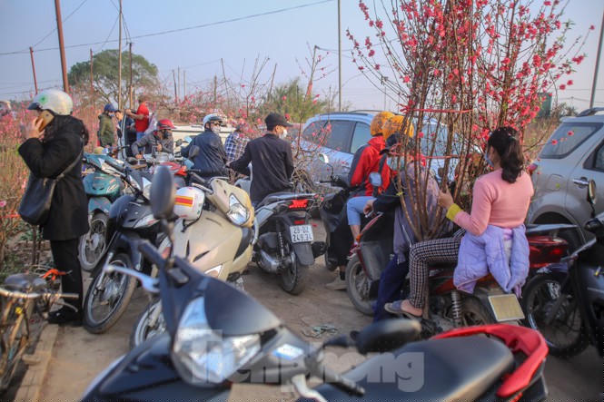 Đào bung nở, làng Nhật Tân nghẽn lối vào ngày cận Tết - ảnh 9