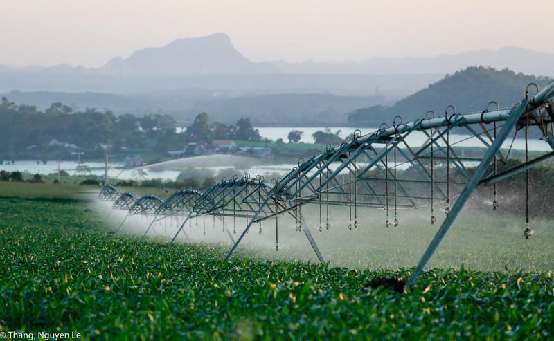 Cánh tay tưới tự động do Tập đoàn TH sở hữu