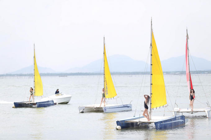 Ngắm những