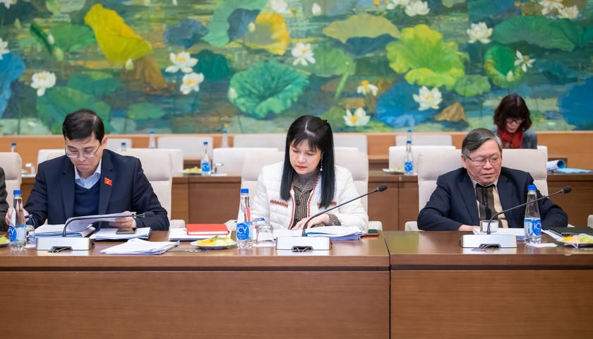 Các đại biểu tham gia phiên họp