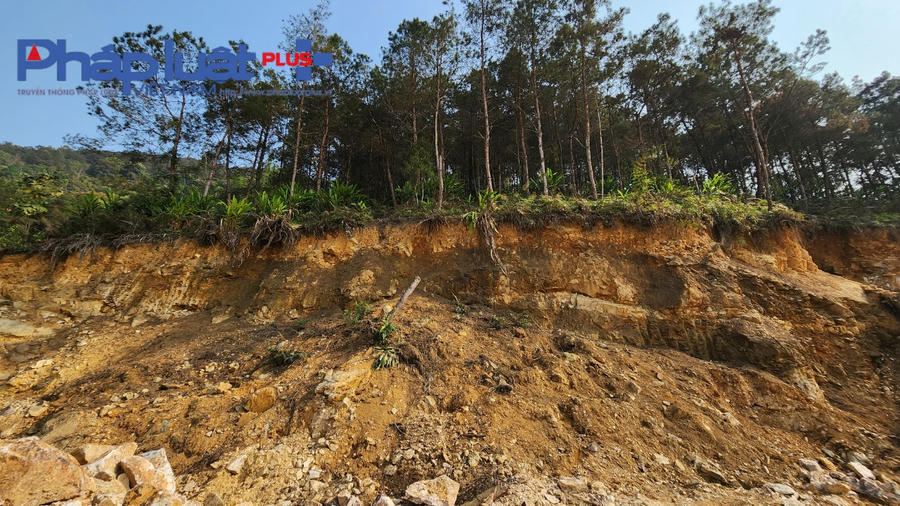 z4185661471142_03adb74da592b4ba30121a5591973cc1