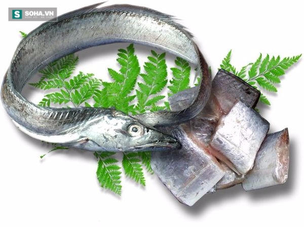 Cá hố giúp bổ tỳ, lợi khí, tốt cho dạ dày, dưỡng gan, nhuận da, bổ huyết, thích hợp cho những người hư nhược lâu ngày. (Ảnh: nguồn internet).