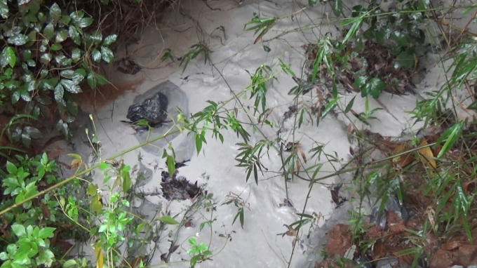 Nước thải của Xưởng tuyển Á Cường.