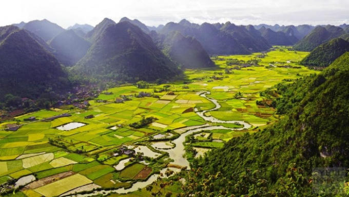 Đặc điểm của lúa Bắc Sơn là các ruộng trồng không cùng thời điểm, do vậy bạn có thể chiêm ngưỡng màu vàng lúa chín xen kẽ sắc xanh mơn mởn. Ảnh: yeunhiepanh