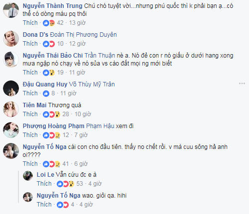 Hình ảnh bình luận dưới clip.