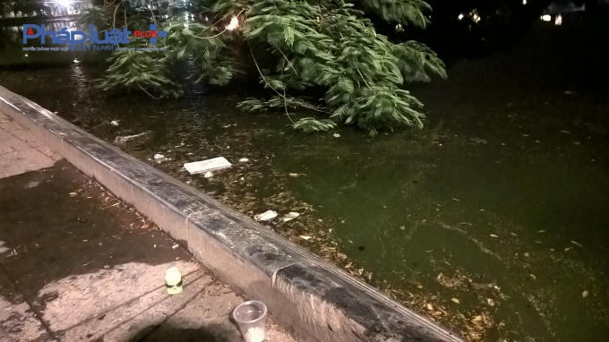 Thậm chí rác thải còn được nhiều người "tiện tay" vứt thẳng xuống lòng Hồ Gươm sau khi ăn, uống xong.