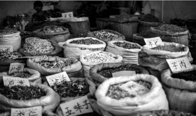 Giàu tìm thầy thuốc, nghèo tìm… thầy lang