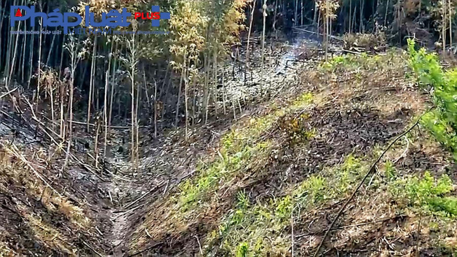 z4397430375535_3fa36d7935df272879ee8d4f4af5b780