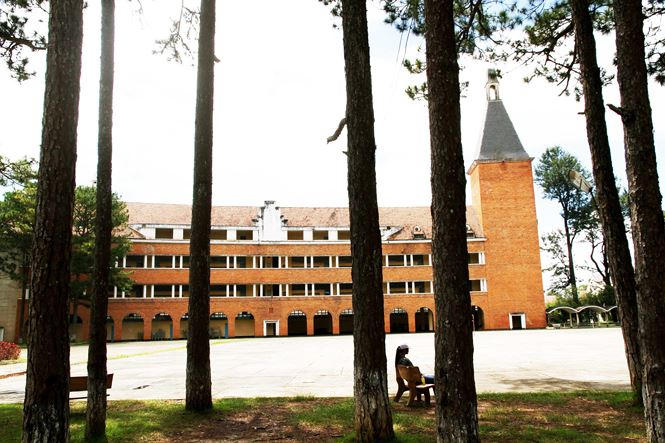 Ngôi trường ẩn hiện trong rừng thông tuyệt đẹp