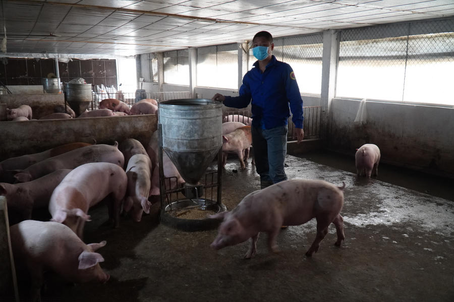 anh: bo truong nn&amp;amp;ptnt tham trai