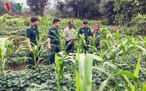 Cán bộ biên phòng tham gia cấp ủy cấp xã, cấp huyện ngày càng có đóng góp nhiều hơn vào phát triển kinh tế xã hội tại biên giới Quảng Ninh.