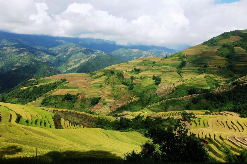 Những ruộng bậc thang ngút ngàn và mênh mông