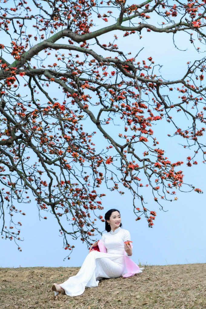 “Rộn ràng hoa gạo tháng Ba, Một bầu trời thắm như là trong mơ. Ngắm hoa lòng dạ ngẩn ngơ. Nhớ về một thuở xa xưa lắm rồi. Nhớ năm hoa ấy đỏ trời, Lòng ai vương vấn bồi hồi, lòng ai?”