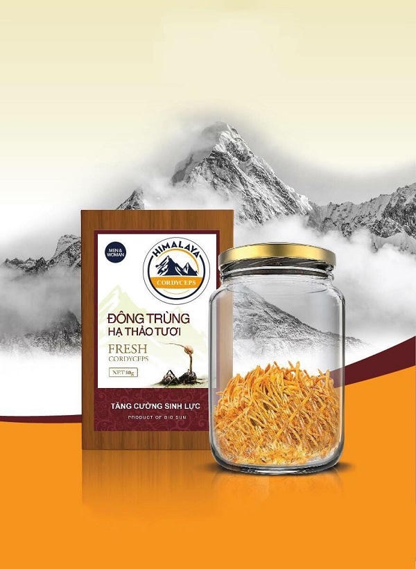 Đông Trùng Hạ Thảo hay còn được biết đến dưới cái tên khoa học là Cordyceps sinensis hoặc Cordyceps militaris.