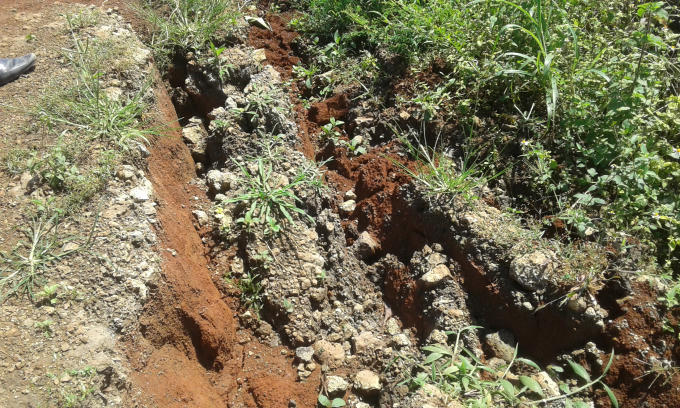 L&acirc;m Đồng: Nhiều diện t&iacute;ch c&agrave; ph&ecirc; bị ch&ocirc;n v&ugrave;i do sạt lở đất