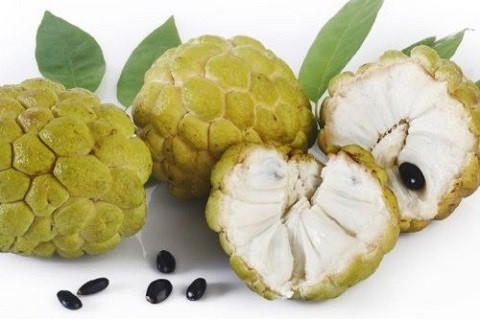 Ăn na chín nửa chừng có thể gây táo bón