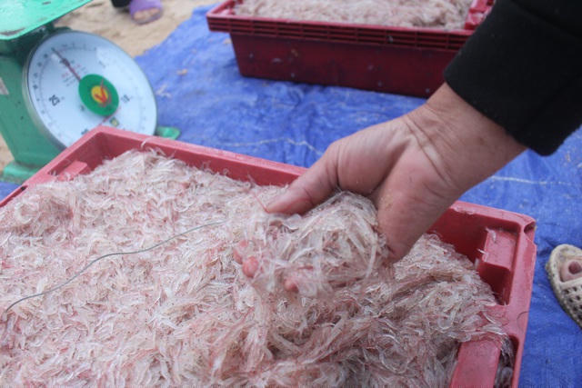 Các loại hải sản đi lộng của các làng biển bãi ngang như Nhân Trạch thường được tiêu thụ nhanh và nhiều vì thuyền đi về trong ngày nên cá giữ được độ tươi nguyên.