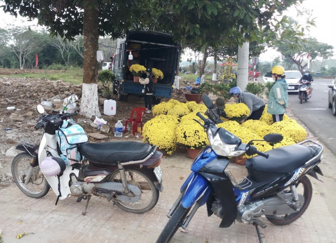 Xe tải vẫn tiếp tục chở hoa về để phục vụ cho nhu cầu của người dân.