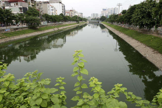 Nước sông Tô Lịch trở nên