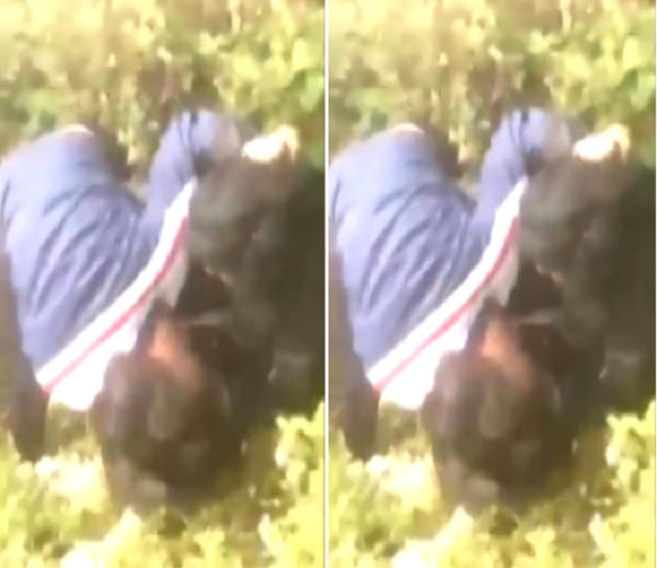 Hai nữ sinh thậm chí còn vật lộn rất phản cảm. (Ảnh chụp màn hình).