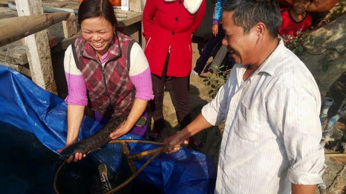 Ông Nhượng chọn bắt cá cho khách đặt ở Hà Nội.