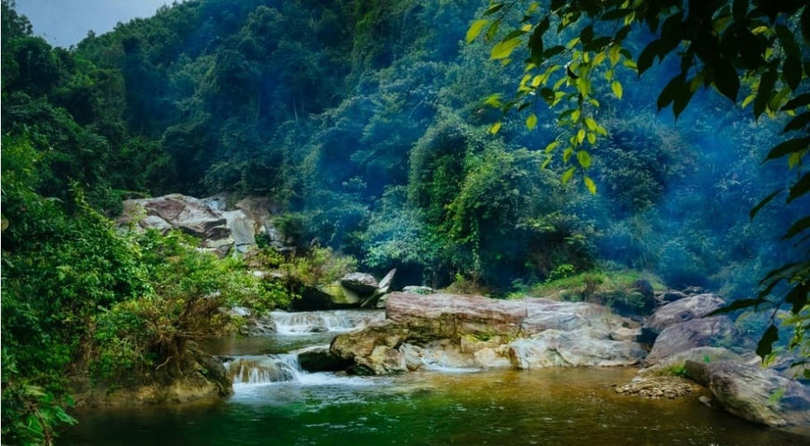 321425038_854752908976179_5080198122382628235_n