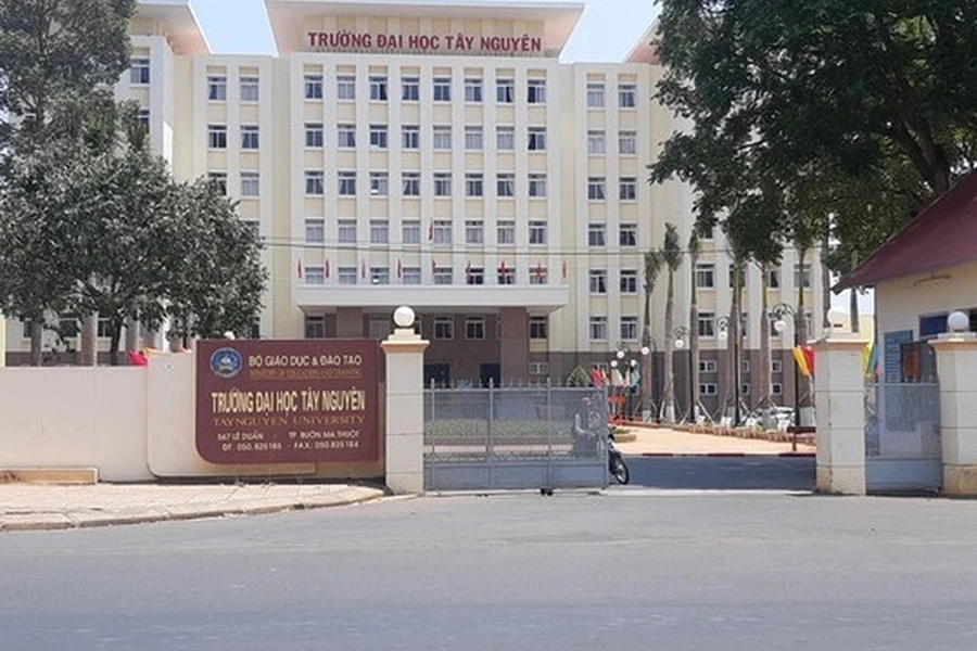 Phấn đấu đến năm 2030, phát triển Trường Đại học Tây Nguyên thành một trong hai trung tâm đào tạo nhân lực hàng đầu trong vùng về lĩnh vực sức khoẻ, nông lâm nghiệp, công nghệ sinh học. (Ảnh minh họa: Dân trí)