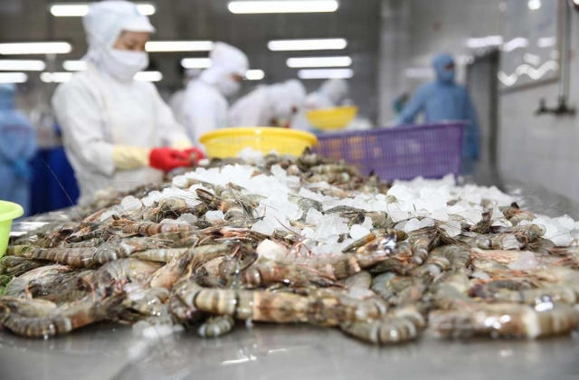 Năm 2022, xuất khẩu tôm sang Mỹ và EU dự kiến tiếp tục tăng trưởng 2 con số