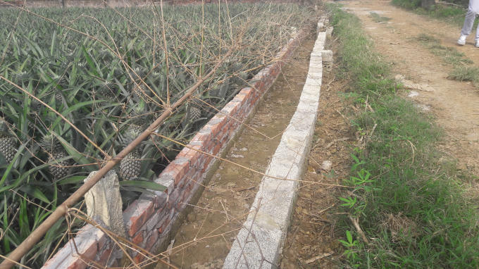 Bà Sâm cho rằng, sau khi gõ cửa cầu cứu về việc bị lấn chiếm, Giám đốc Xí nghiệp lại bao che để các hộ dân xây thêm hàng gạch thứ hai phía trong.