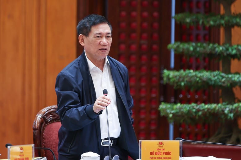 Phó Thủ tướng Hồ Đức Phớc phát biểu tại cuộc họp.