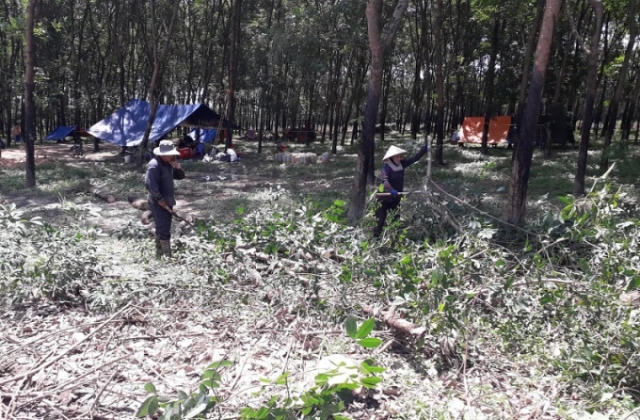 “Đau đầu” chuyện giải phóng mặt bằng sân bay Long Thành vì nhiều đất vắng chủ!