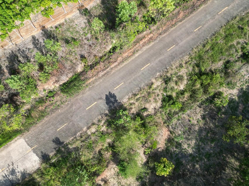 Một đoạn đường xuyên rừng để kết nối Đồng Nai và Bình Phước (cũ).