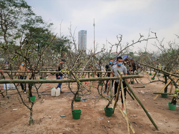 cb30fb30ca30396e60215