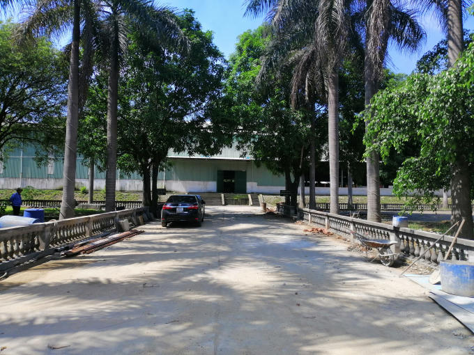 Đường vào công ty Bao bì.