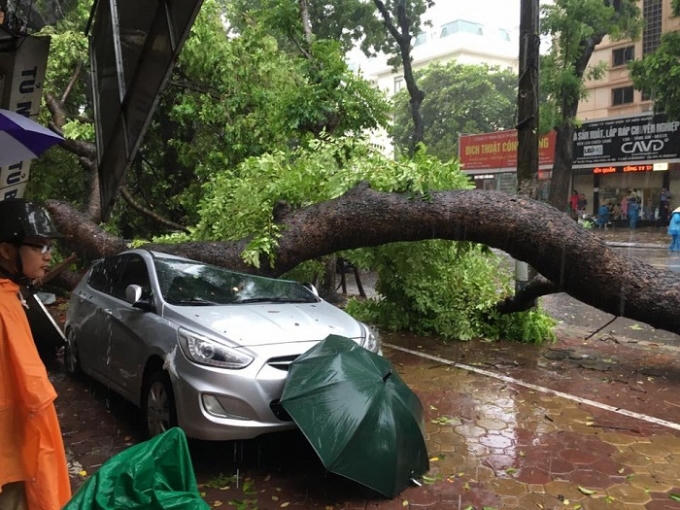 Ông Hoàng Đức Cường khẳng định: “Việc dự báo bão, đường đi của bão cũng như cấp độ bão đổ bộ, lượng mưa đều khá sớm và sát”.