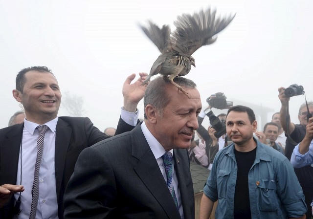 Một chú chim đã đậu trên đầu của Tổng thống Thổ Nhĩ Kỳ Recep Tayyip Erdogan, trong chuyến thăm của ông đến Trung tâm quản lý nước tại Rize. (Ảnh:EPA)