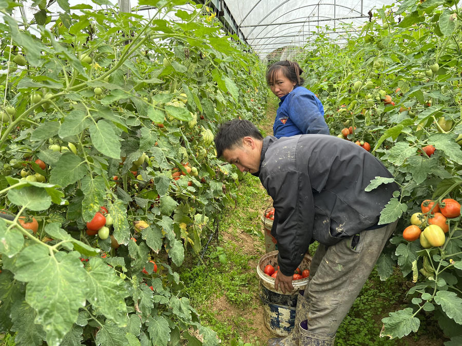 z4696541918137_de9ed1a132cbf18aaf506616afdb8045