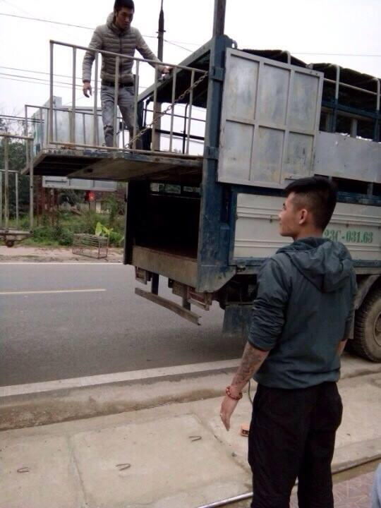 Hiện trường tại thời điểm nhóm côn đồ cướp lợn. (Ảnh: Nạn nhân cung cấp).