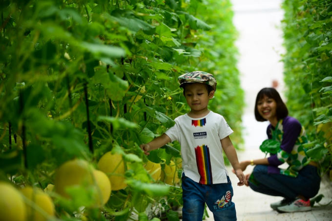 Mùa hè đáng nhớ tại nơi