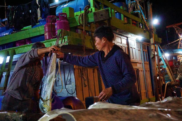 Anh Nguyễn Hà, chủ một tàu cá ở đây cho biết, dù sản lượng năm nay có giảm so với những năm trước, nhưng số lượng tàu thuyền ra khơi vẫn đều. Những chủ tàu cá ở đây cũng đã tiết kiệm chi phí vì ảnh hưởng của dịch Covid-19 nhưng việc đánh bắt vẫn đạt hiệu quả.