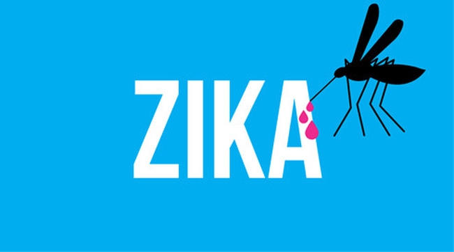 Virus Zika vẫn tiếp tục hoành hành nhiều nước. Ảnh minh họa