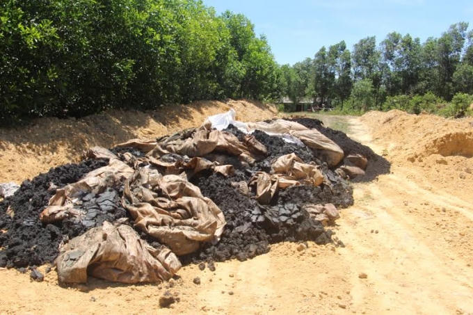 Lượng chất thải chôn trong trang trại ông GĐ Lê Quang Hòa, 13/15 mẫu đạt tiêu chuẩn cho phép.