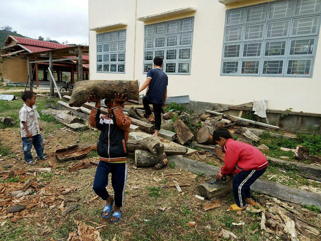 Các bạn học sinh nam chuẩn bị củi để nấu bánh chưng