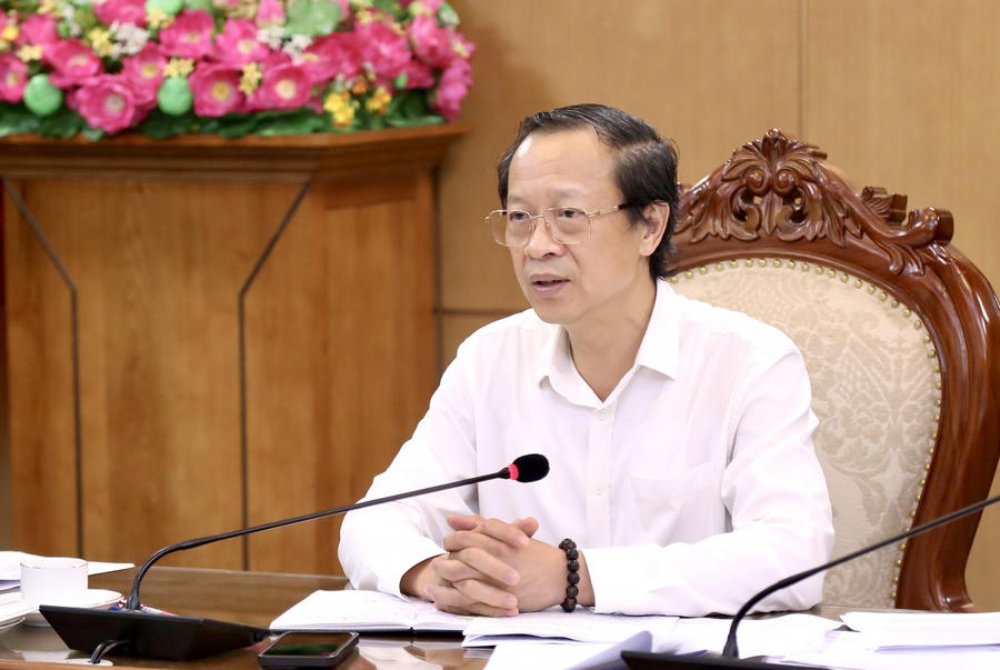 Thứ trưởng Phạm Ngọc Thưởng phát biểu tại cuộc họp.