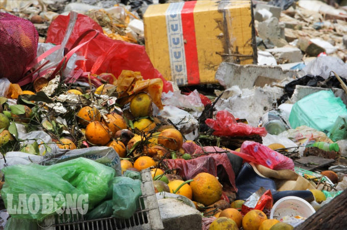 Trên mặt đất phủ một lớp hoa quả thối, phân hủy. Ảnh: Tô Thế