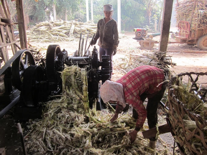 Công đoạn ép nước mía giờ đây đã được thay thế bằng máy móc.
