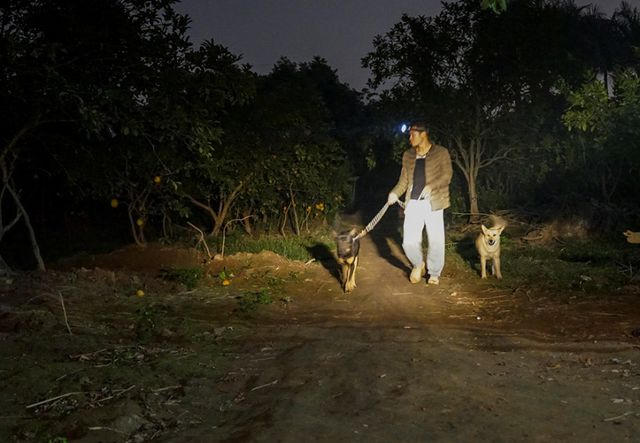 “Năm nào cũng xảy ra tình trạng trộm cắp bưởi ở trong làng, nên ngay từ khi bắt đầu vào vụ thu hoạch là chúng tôi phải ăn ngủ tại vườn để trông bưởi, nuôi thêm chó canh gác tại những điểm khuất tầm nhìn”, anh Vương Trọng Phúc, làng Phú Diễn, Bắc Từ Liêm, Hà Nội chia sẻ.