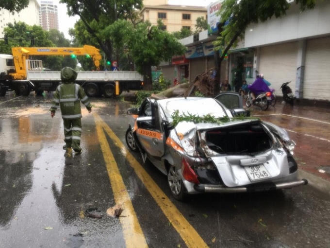 Chiếc xe ô tô bị biến dạng hoàn toàn sau khi bị cây đổ vào.
