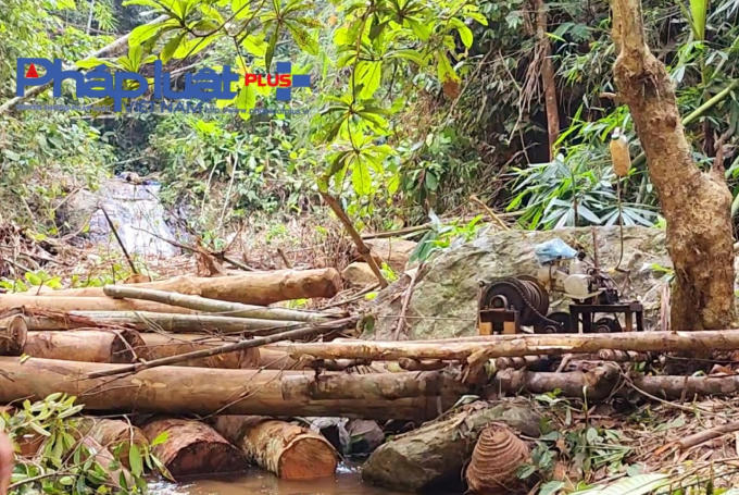 z3786307666772_c4e4a085861bbf0c02970533af2e033d