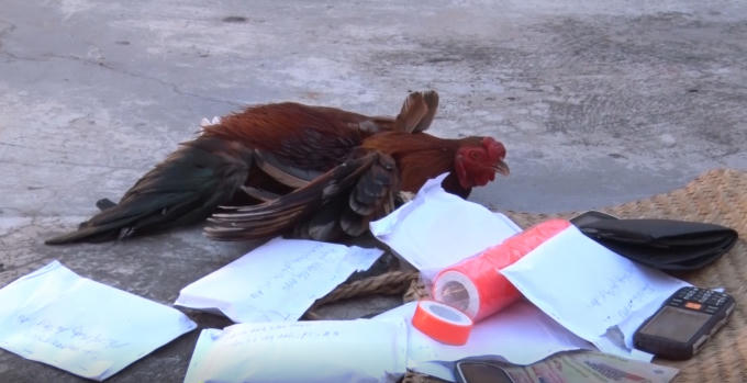 Tang vật lực lượng chức năng thu giữ.